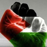 Properties For Sale / For Rent Recommended By Untung Hartanah Untung Hartanah