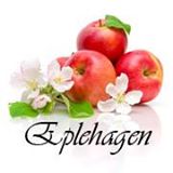 Properties For Sale / For Rent Recommended By Eplehagen Eplehagen
