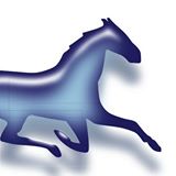 Properties For Sale / For Rent Recommended By Dzierba Real Estate Dzierba Real Estate