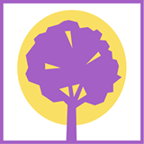 Lucia Pou Properties