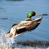 Properties For Sale / For Rent Recommended By Terra Properties, Inc. Terra Properties, Inc.