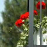 Warren Club Apartments