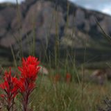 Properties For Sale / For Rent Recommended By Mountainlands of Montana Realty Mountainlands of Montana Realty