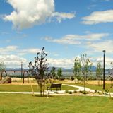 Mountain View Meadows