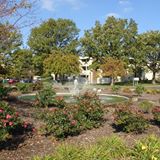 Properties For Sale / For Rent Recommended By The Meadows Apartments The Meadows Apartments