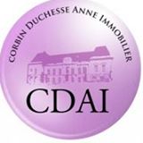 Properties For Sale / For Rent Recommended By Corbin Duchesse Anne Immobilier Corbin Duchesse Anne Immobilier