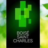 Properties For Sale / For Rent Recommended By Boisé Saint Charles Boisé Saint Charles
