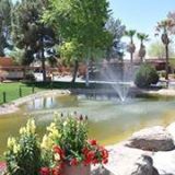 Properties For Sale / For Rent Recommended By Lakeside Casitas Apartments Lakeside Casitas Apartments