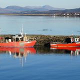 Properties For Sale / For Rent Recommended By Murchison Law Murchison Law